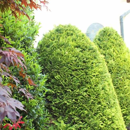 Wanderhotel Garni Cresta Schruns Ngoại thất bức ảnh
